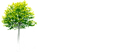 Lacamas Creek Church